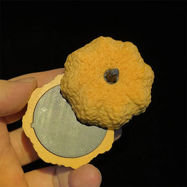 Creative Pumpkin Look Magnetic Fidget Clicker EDC Fidget Toys ADHD Tool Anxiety Stress Relief Toys For Adult