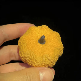 Creative Pumpkin Look Magnetic Fidget Clicker EDC Fidget Toys ADHD Tool Anxiety Stress Relief Toys For Adult